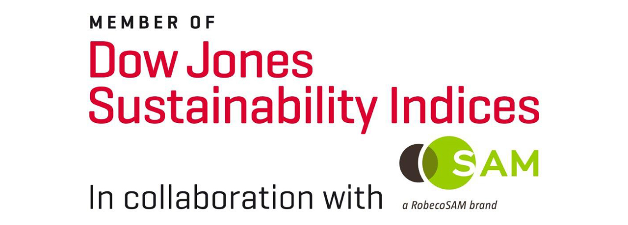 Dow Jones Sustainability Indices - large