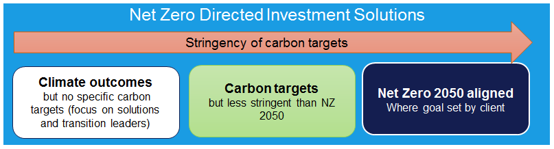 Net Zero Directed Investment Solutions