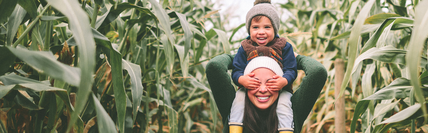 child on parent's shoulders in cornfield