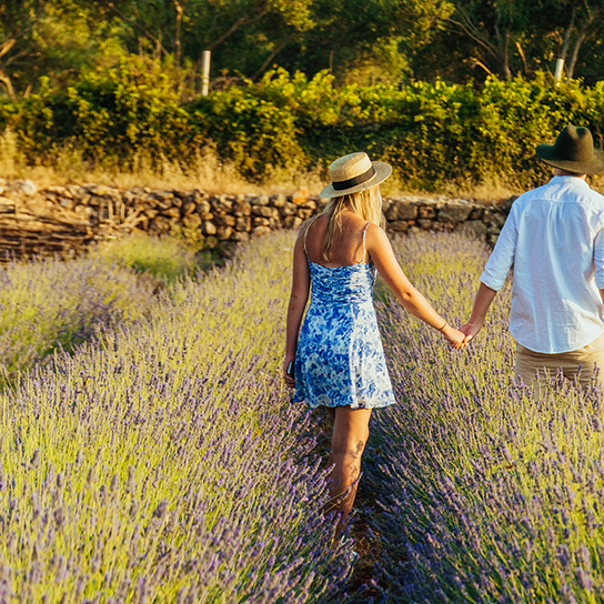 couple walking through lavender field