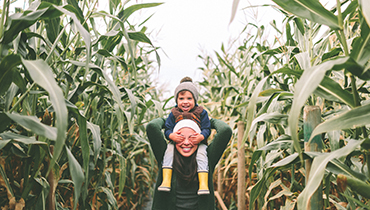 child on parent's shoulders in corn field