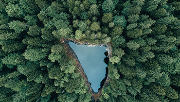 birds eye view lake in forest
